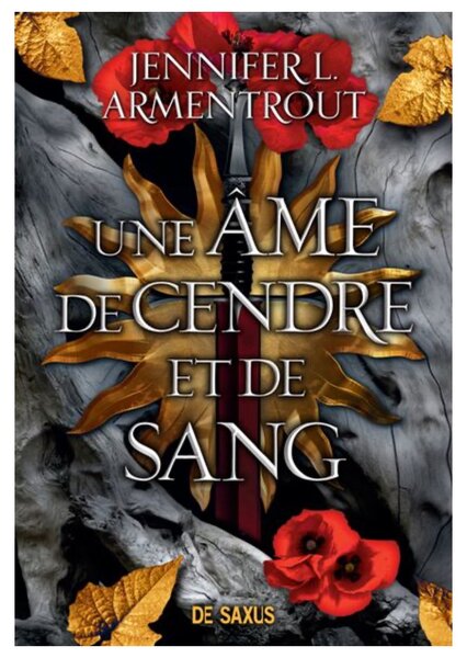 Le Sang Et La Cendre -Tome 5 : Une âme de cendre et de sang
