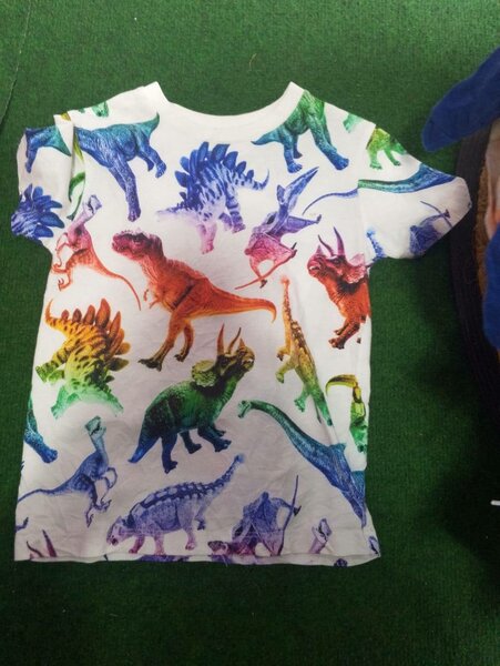 Kids Dinosaur T-Shirt