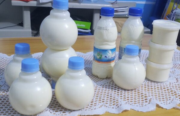 Yaourt Naturel Maison