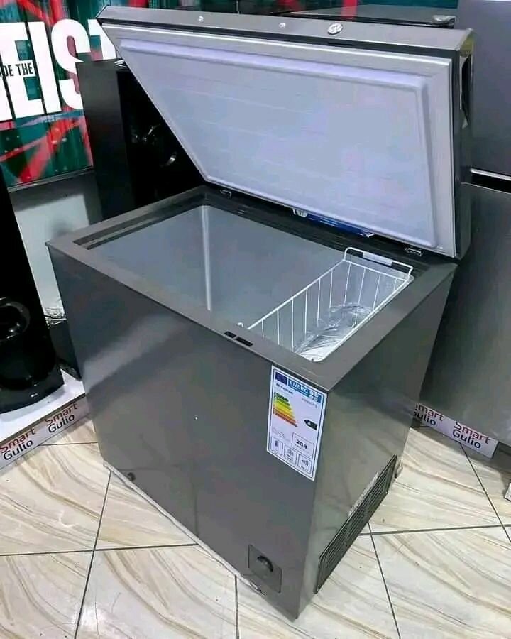 Congélateur coffre haute capacité