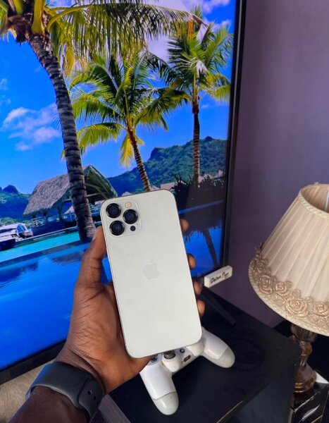 iPhone 12 Pro Max 256 Gig