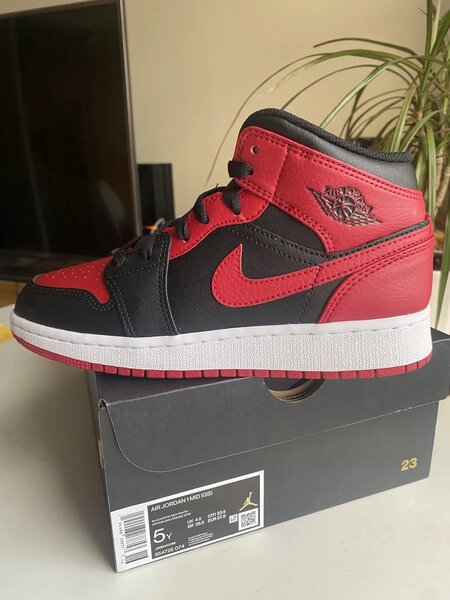 Air Jordan 1 red and black