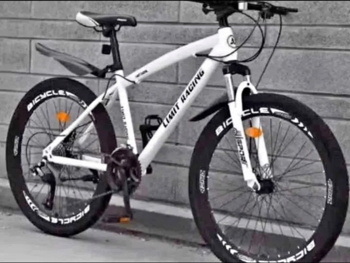 Vélo de Montagne Léger