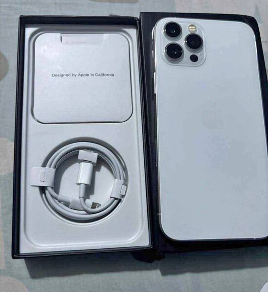 iPhone 12 Pro Max Argent