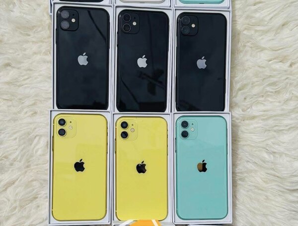 iPhone 11 - Couleurs Variées
