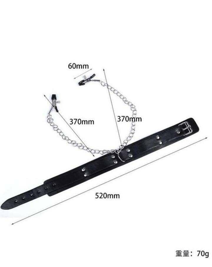 Collier BDSM avec pinces
