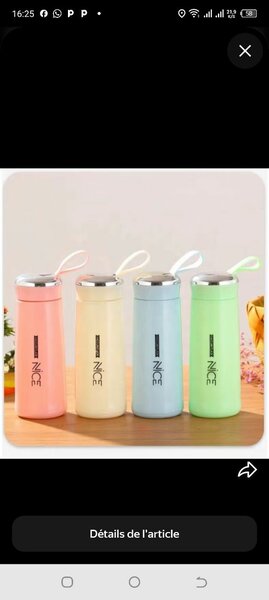 Bouteille Thermos