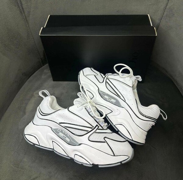 Dior sneakers