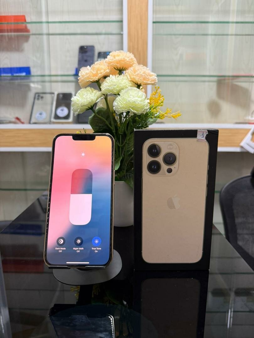 13 pro jamais démonter très pr