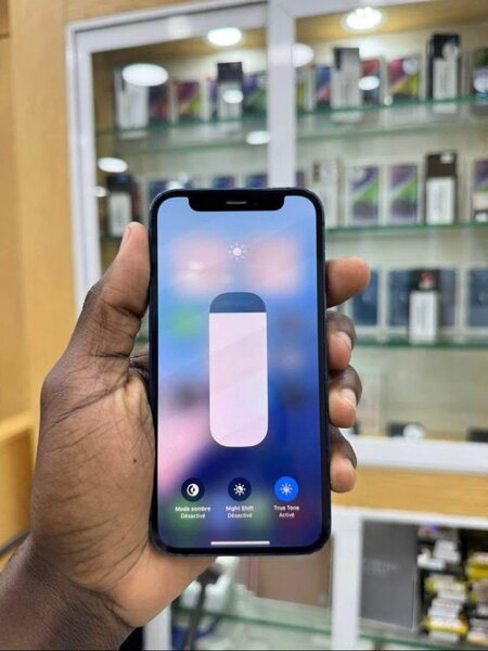 iPhone 12 Blanc