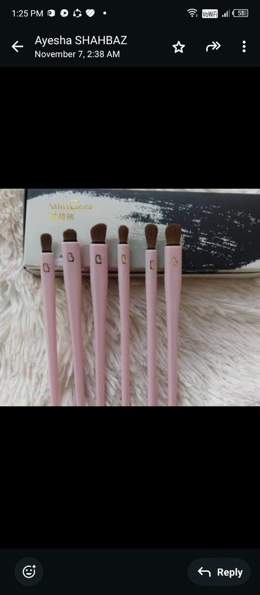 Eye makeup brushes set