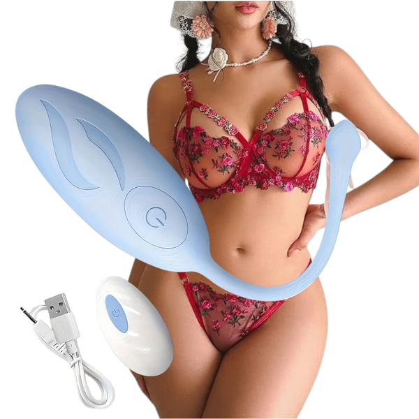 Oeuf télécommandée discrète