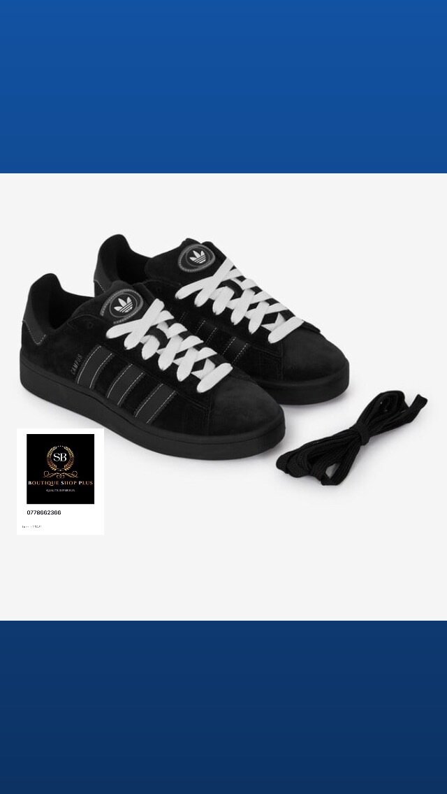 Basket adidas campus authentique