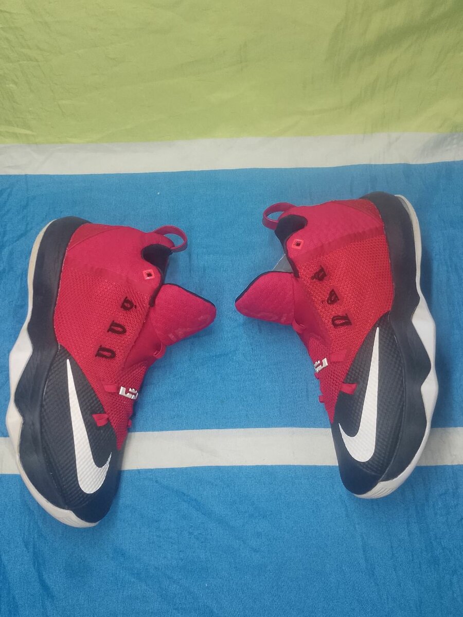 LeBron ambassador IX