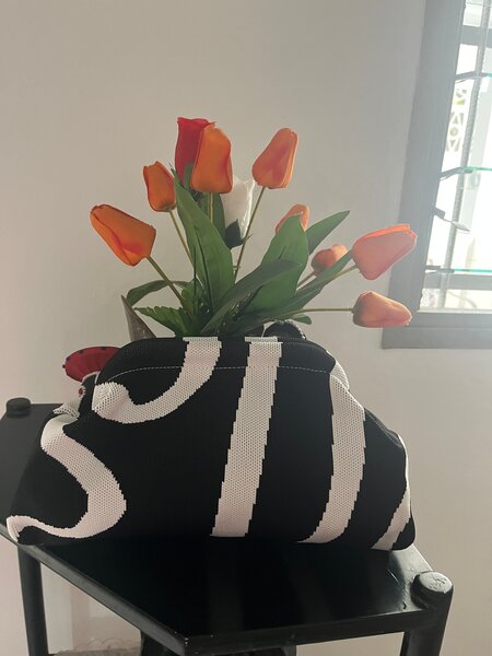 Pochette à rayures élégante