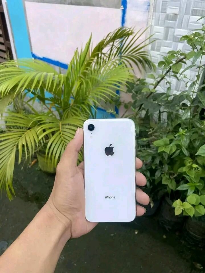 iPhone XR 128 Go Blanc
