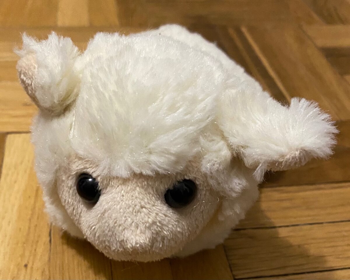 Petite peluche blanche
