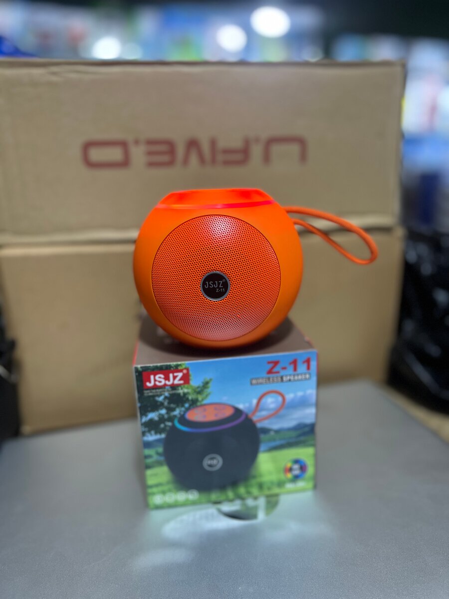 Enceinte Bluetooth Portable Z-11