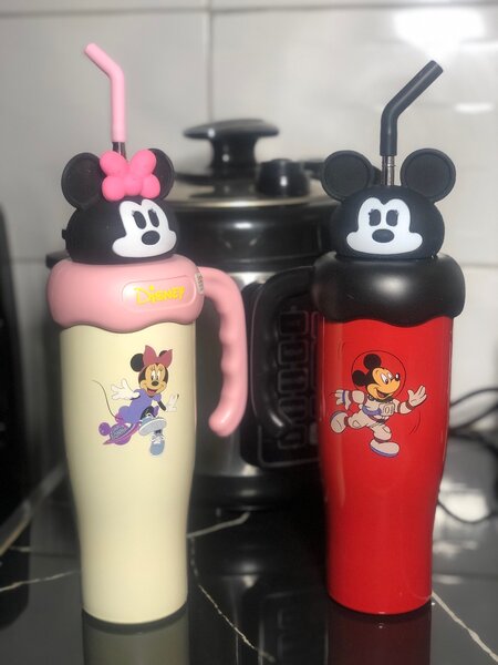 Mickey and Minnie Mouse vacuum bottles