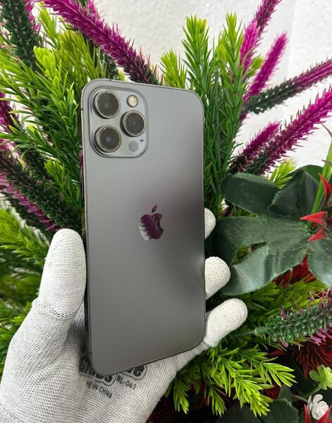 iPhone 12 Pro Max Gris