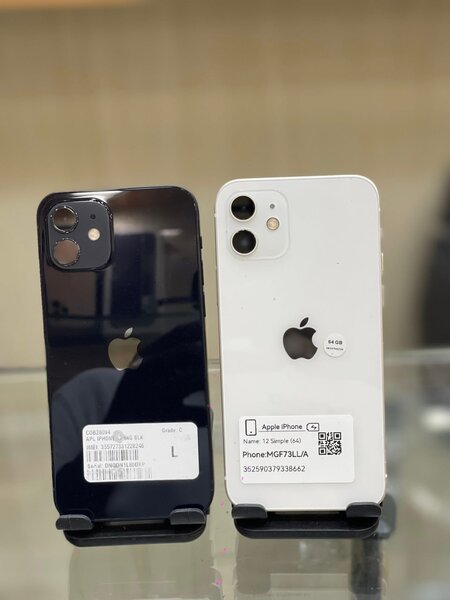 iPhone 11 - Diverses couleurs