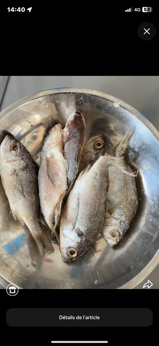 Poissons Frais pour Cuisine