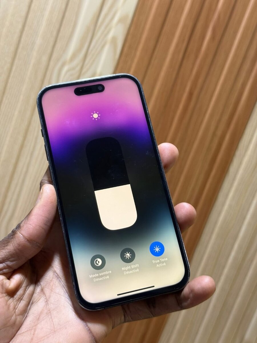 iPhone 14 Pro Max 256 Go