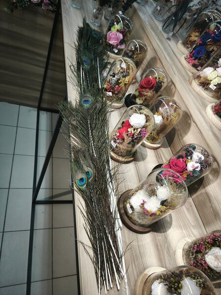 Перья павлина