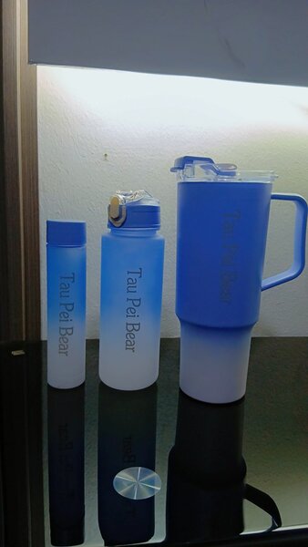 Gourdes Colorées TauPeiBear