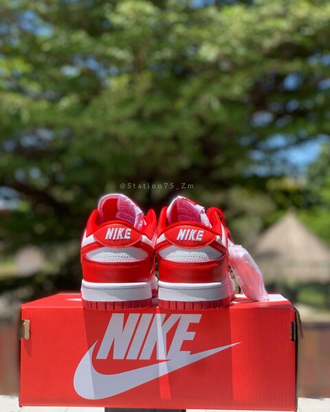 Nike Sb Dunks Low University Red