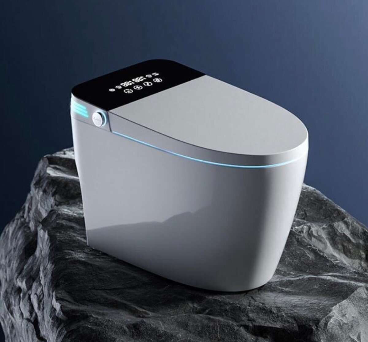 INTELLIGENT WATER CLOSET