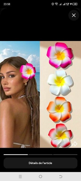 Fleurs Accessoires Cheveux