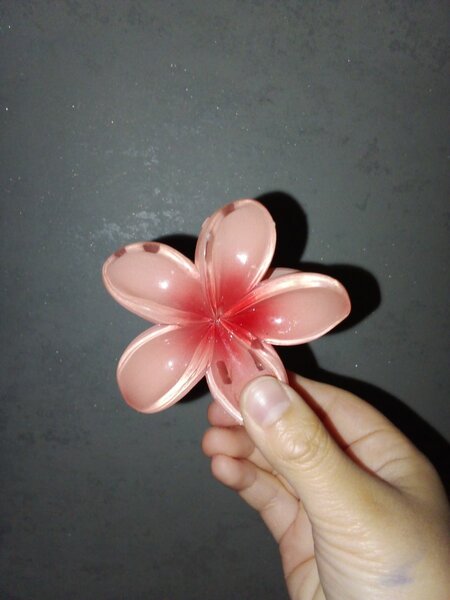 Заколка для волос