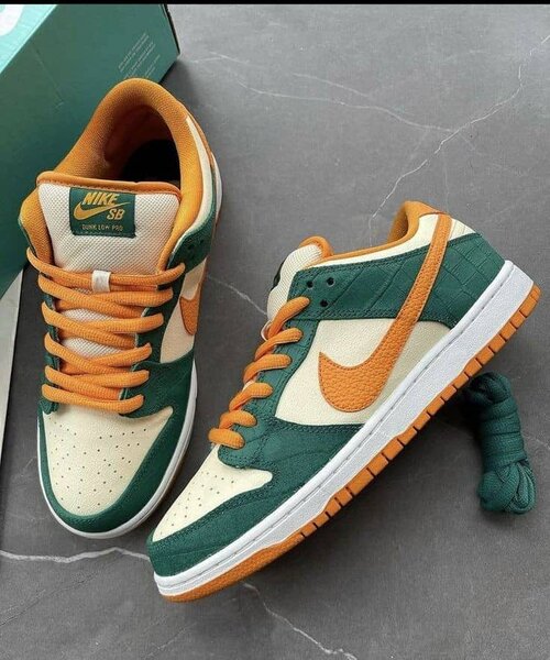 Chaussure SB NIKE