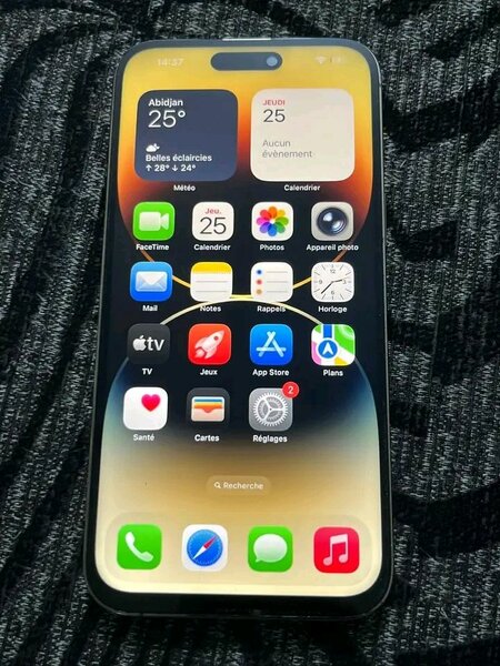 iPhone 14 Pro Max argenté