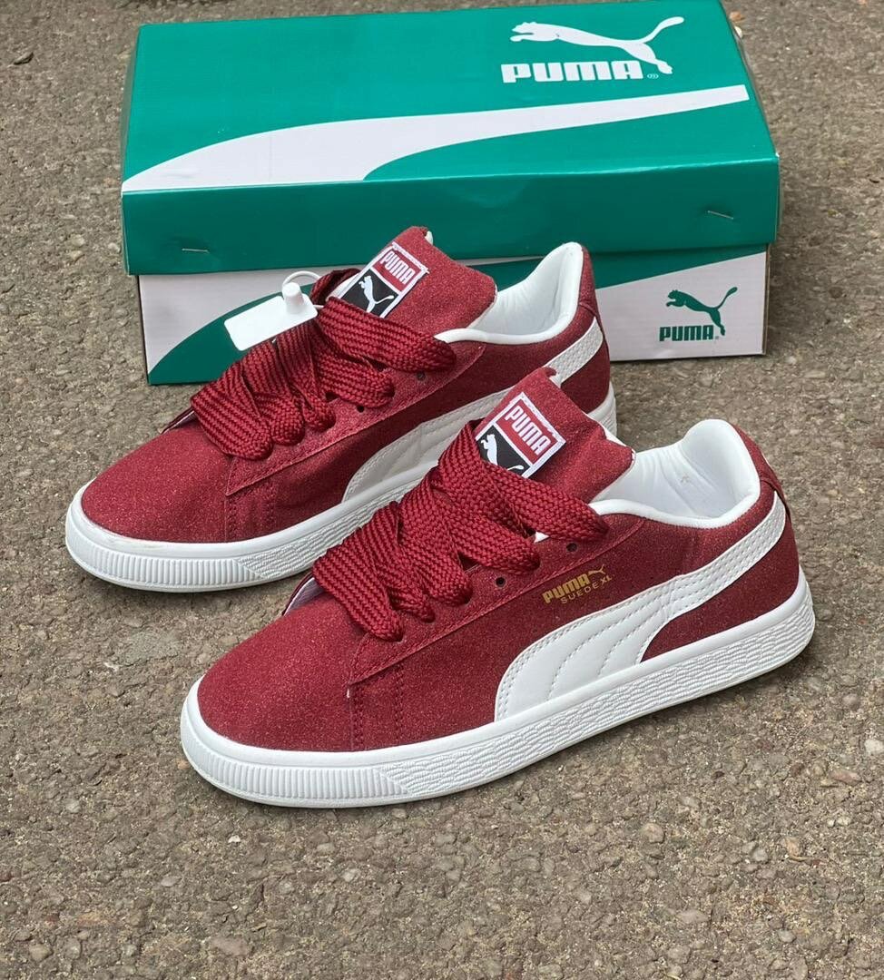 Puma nouveau modèle