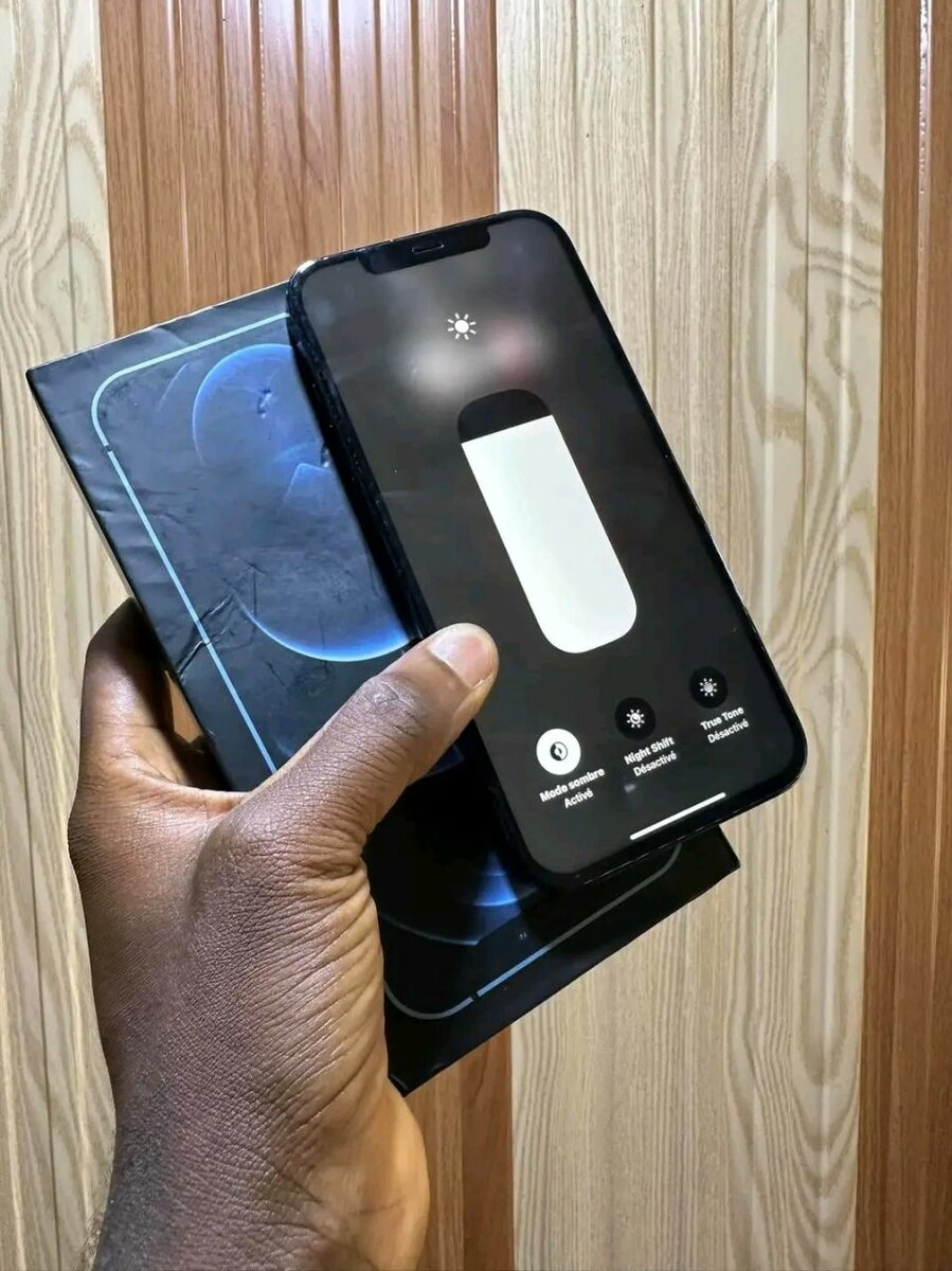 iPhone 12 Pro Max Bleu