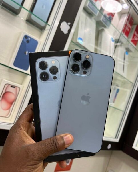 iPhone 13 Pro Max 256Go Gris Sidéral