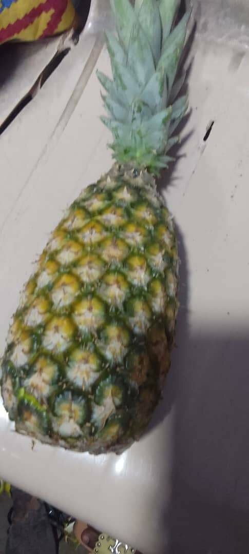 Pineapple
