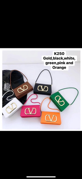 bag with gold buckle