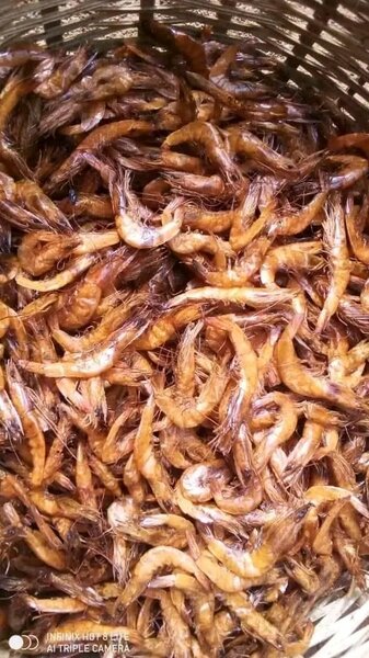 Crevettes séchées savoureuses