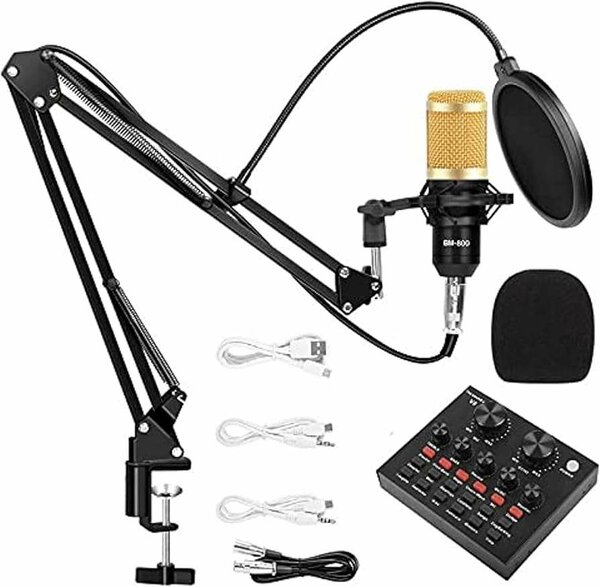 Bm800 condenser studio Microphone with V8 sound card