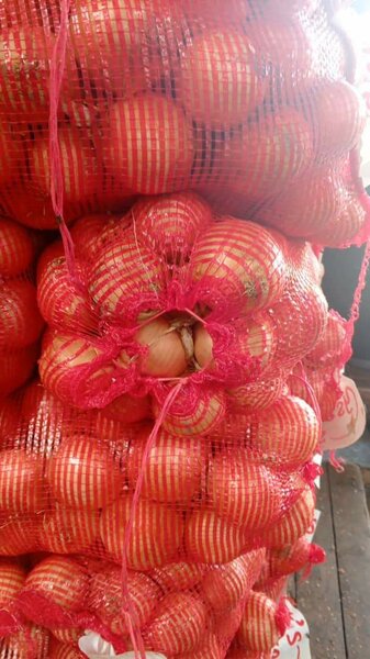 Onion white dry