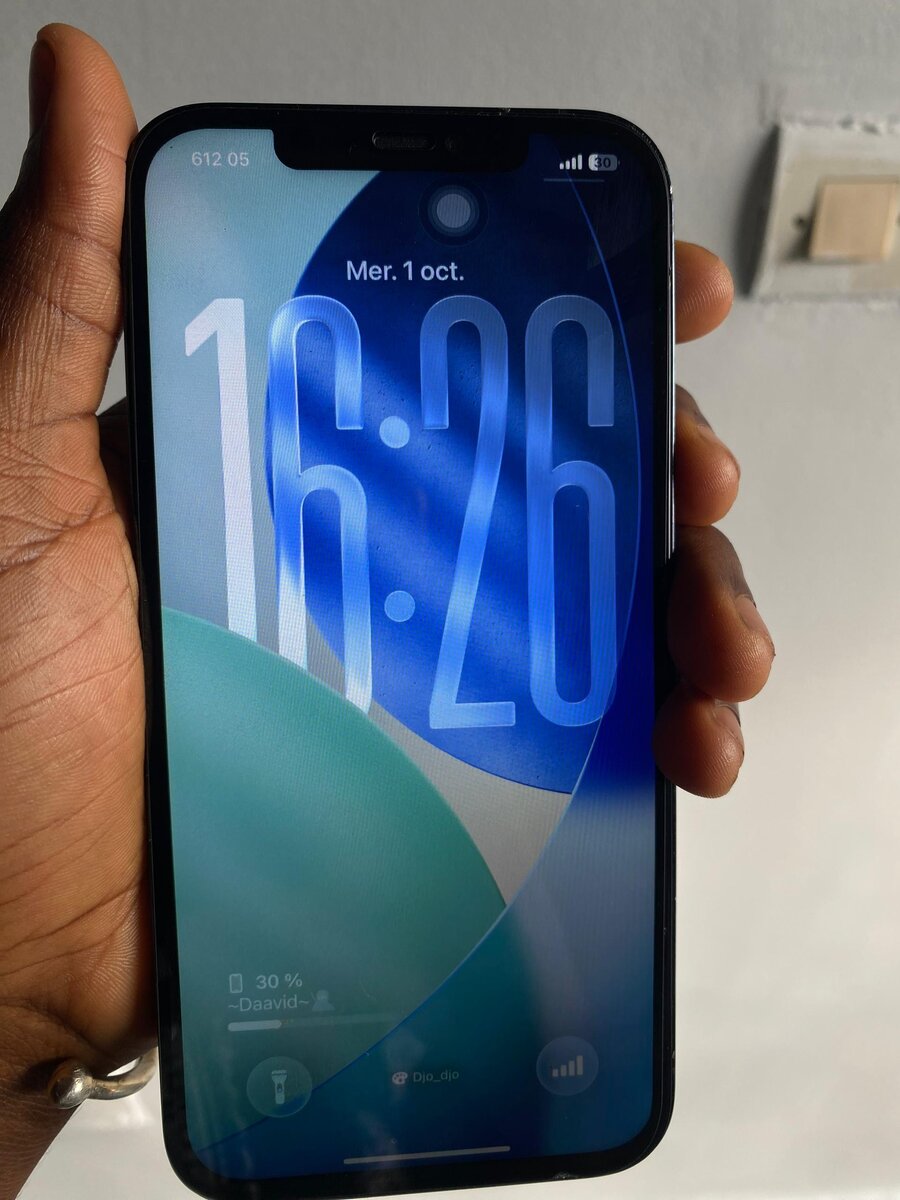 iPhone 12 Pro Max Bleu