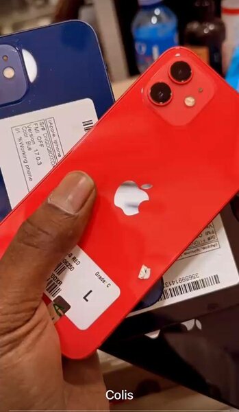 iPhone 11 - Couleurs Variées