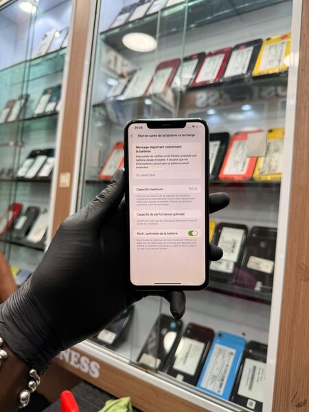 iPhone Pro Max Vert