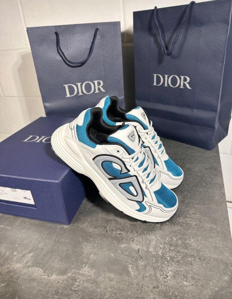 Dior sneaker