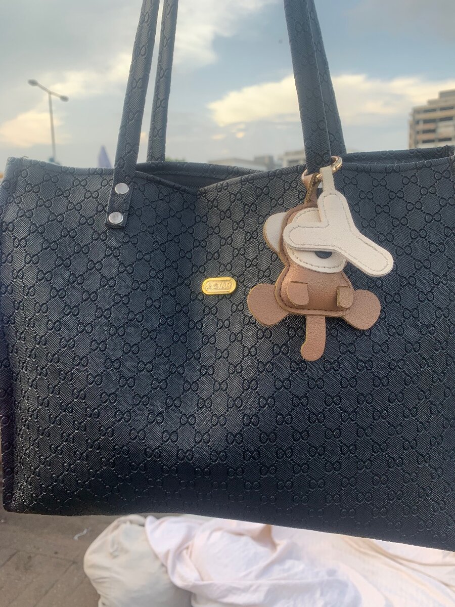 Ladies bag