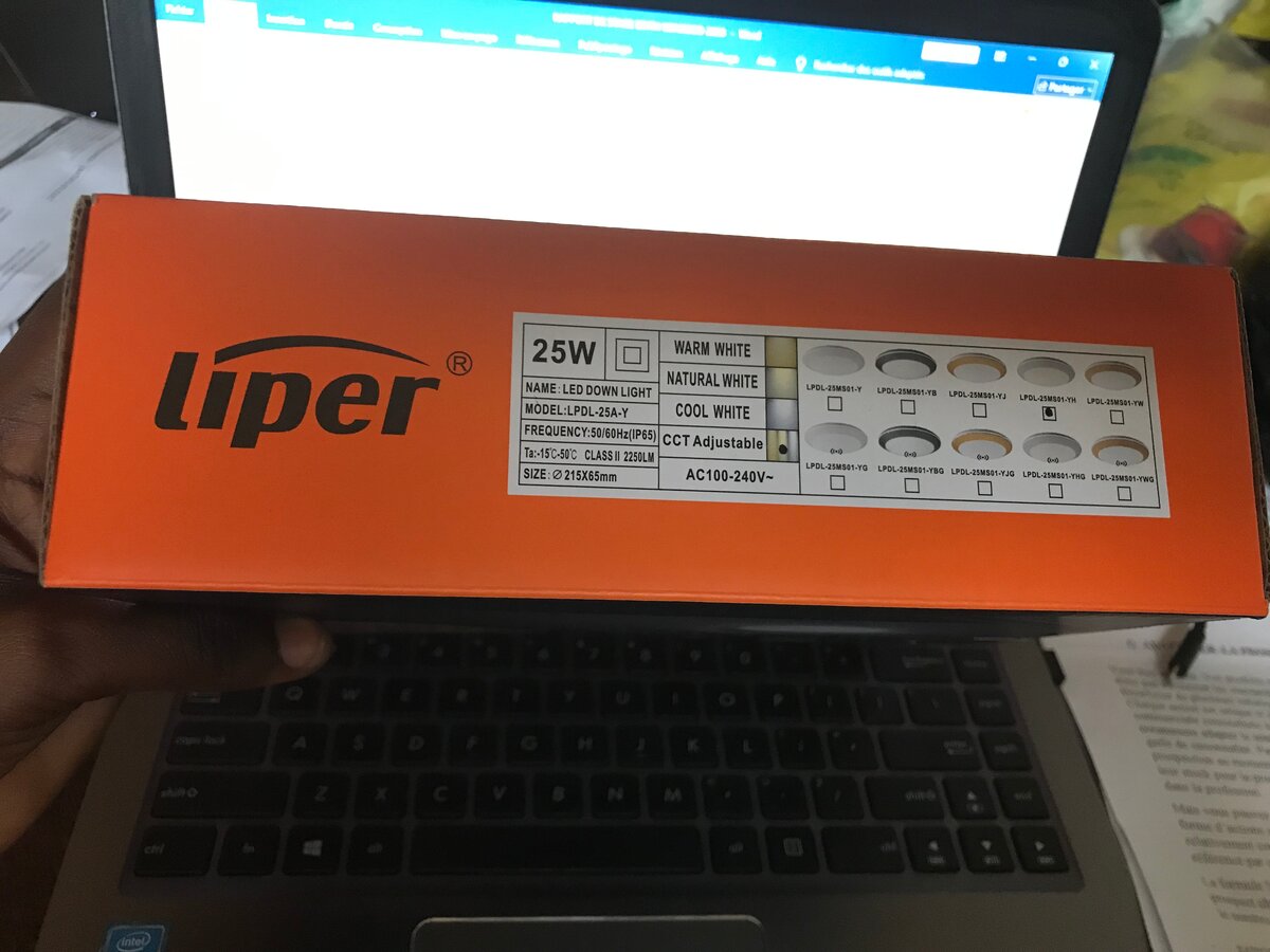 Liper Lampe LED IP65 25W