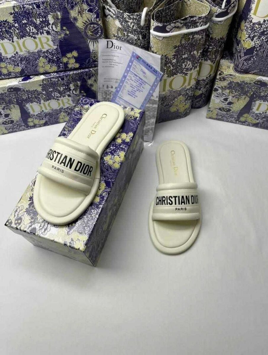 Christian Dior slippers